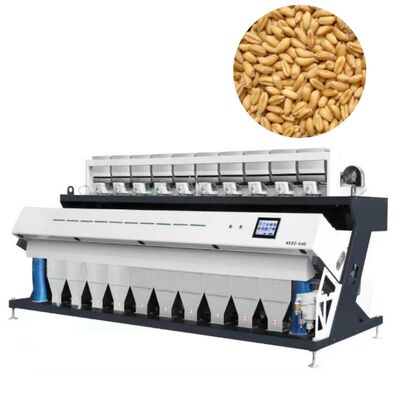 小麦、トウモロコシ、穀物用の10チャンバー20トン/時高解像度穀物選別機。