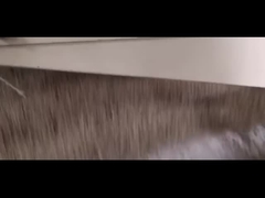 穀物のPre-cleanerは塵および軽い不純物の抱負と大きい不純物を取除く