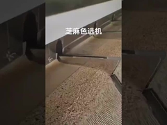 ゴマ色の選別機