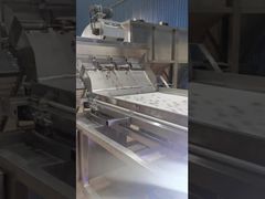 二層ベルト式カシュー色彩選別機。