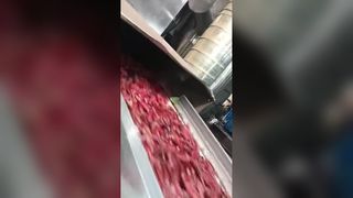 追跡式唐辛子色彩選別機 2 台