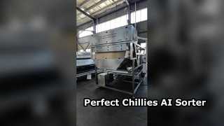 ベルト式色彩選別機