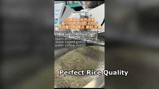 中小規模精米機向けの 32 チャンネル米色選別機。